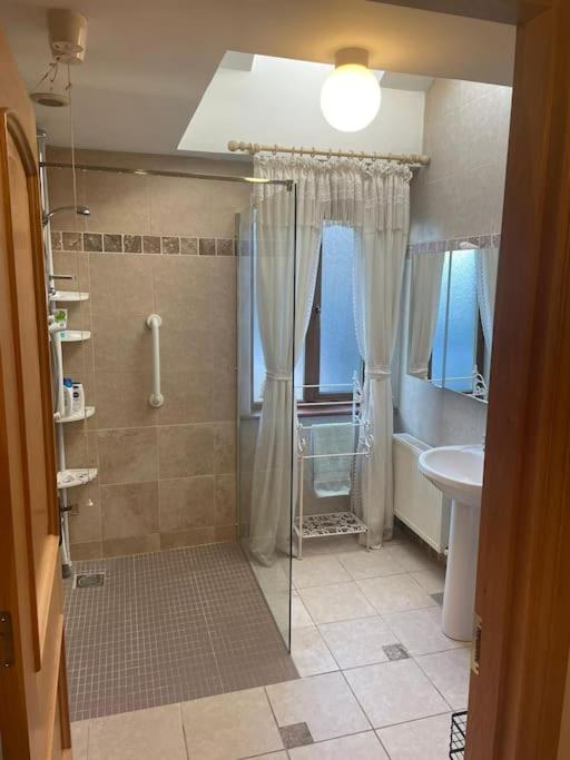 Borodino Studio Apartment Enniscorthy Eksteriør bilde