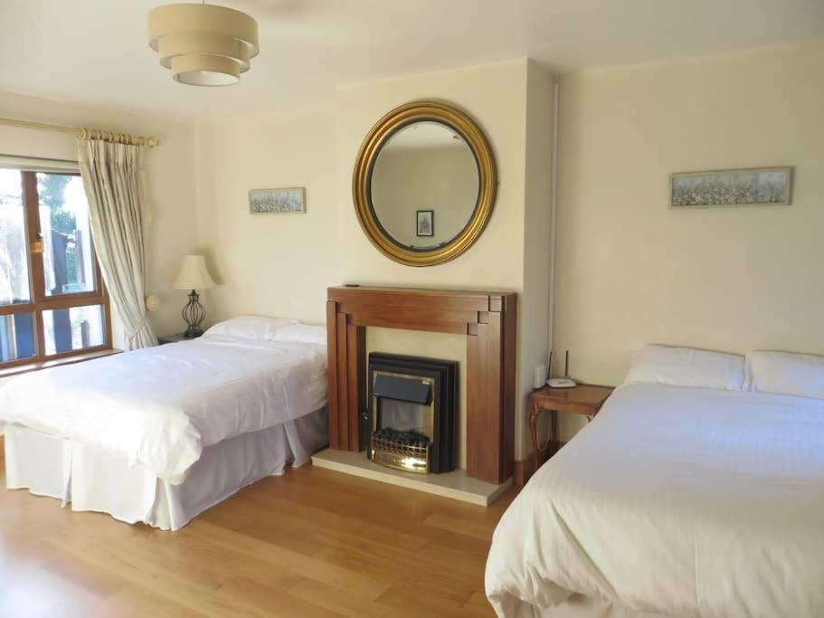 Borodino Studio Apartment Enniscorthy Eksteriør bilde