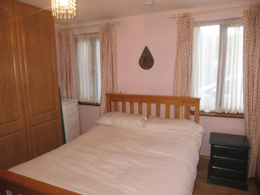Borodino Studio Apartment Enniscorthy Eksteriør bilde